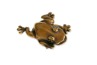 Figurka Zdziwiona żabka
